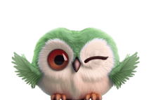chouette erp neil