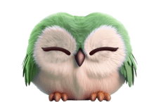 chouette erp neil