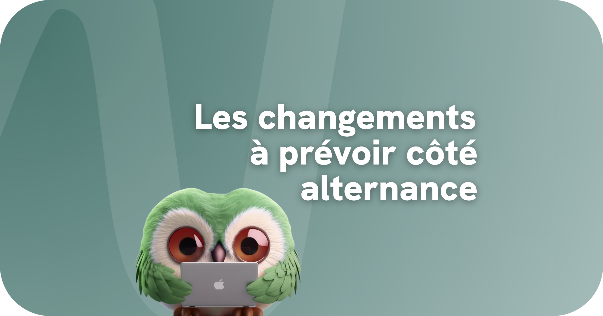 regulation apprentissage etablissements privés